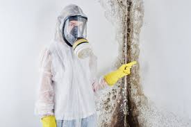 Best Attic Mold Removal  in Cudahy, CA